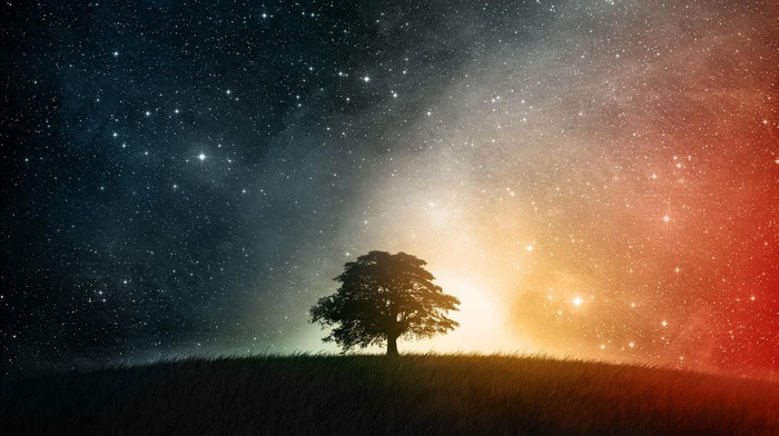 tree, space, stunner