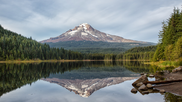 lake, nature, reflection, forest