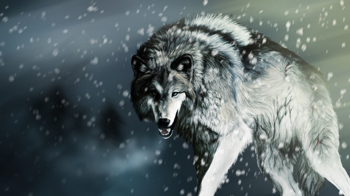 wolf, animals, snow, drawing