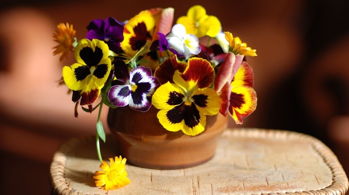 flowers