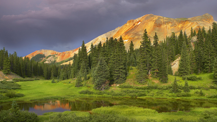 nature, trees, forest, mountain