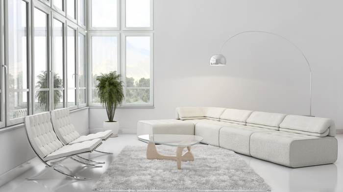 couch, plants
