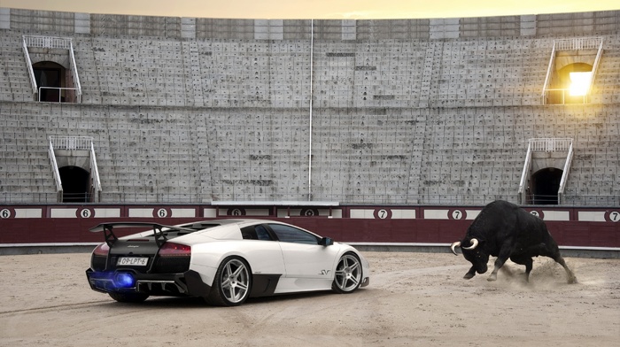 cars