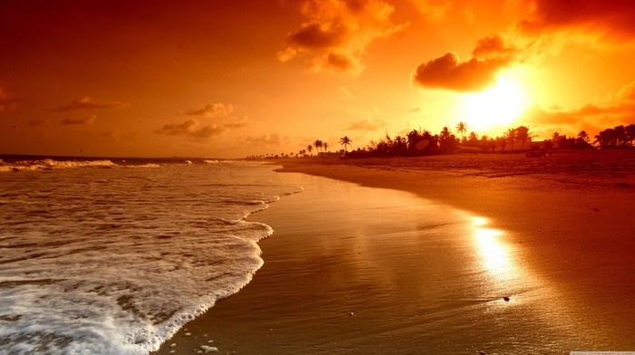 beach, nature, sea, ocean, sunset