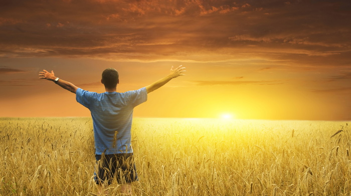 men, field, dawn, mans, hands, Sun