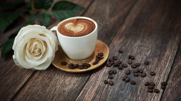 rose, stunner, coffee, foam, flower, drink
