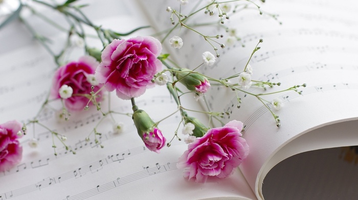 flowers, macro