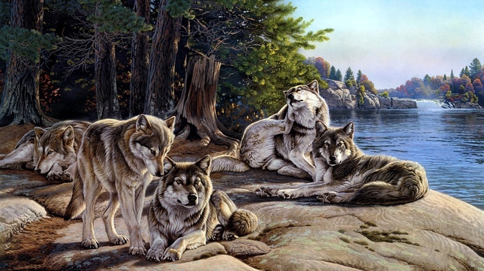 animals, forest, rocks, painting