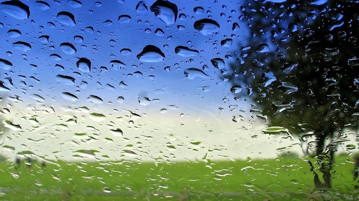 macro, drops, water