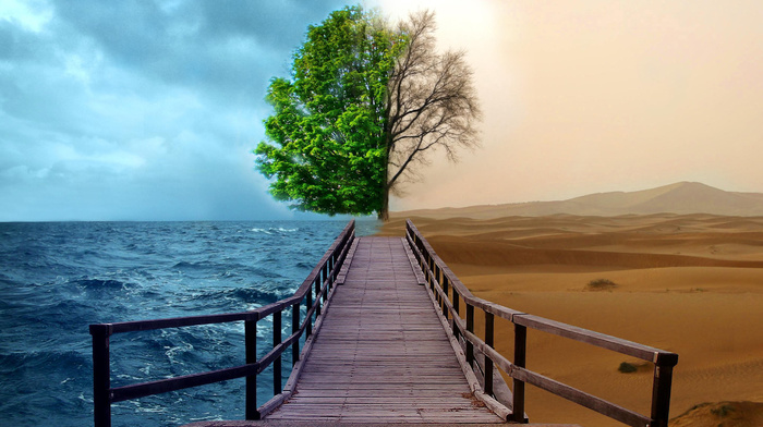tree, water, creative, runway, 3D, sea, desert