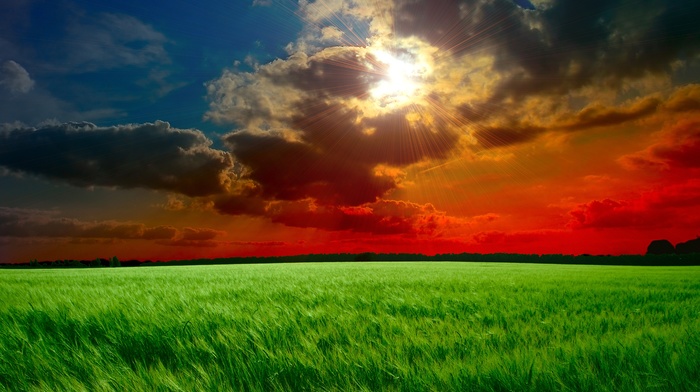 field, clouds, nature, sky, Sun, sunset, rays