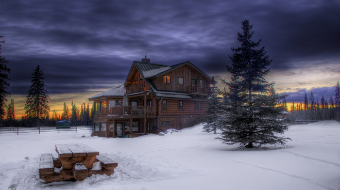 forest, sky, snow, winter, sunset, evening