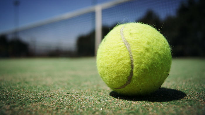 macro, sports