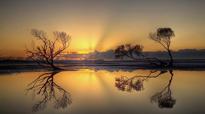 landscape, nature, trees, sunset, sky