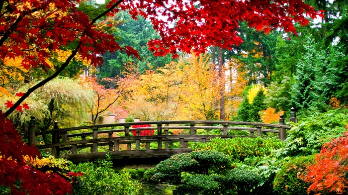 bridge, trees, leaves, autumn, nature