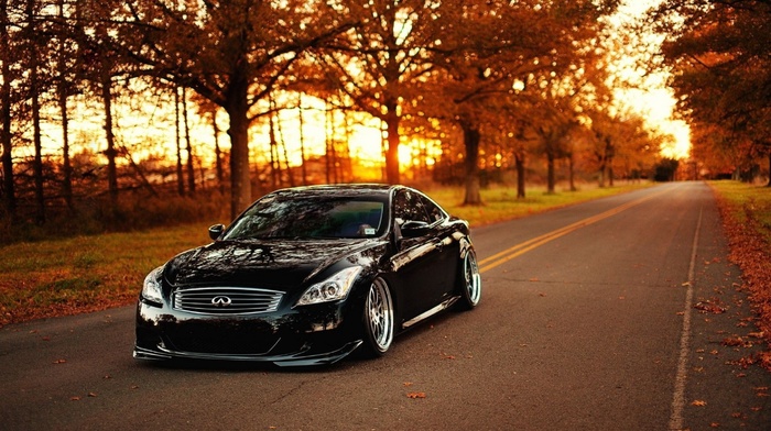 autumn, car, road, cars