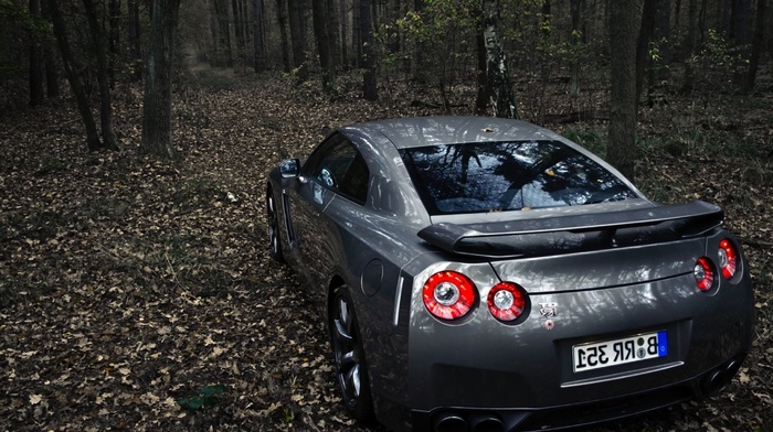 cars, forest, car, road