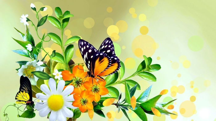stunner, butterfly, flowers