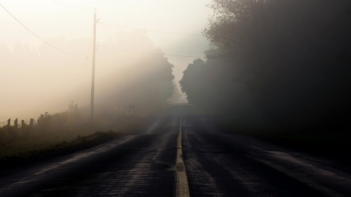 nature, morning, road, landscape, mist