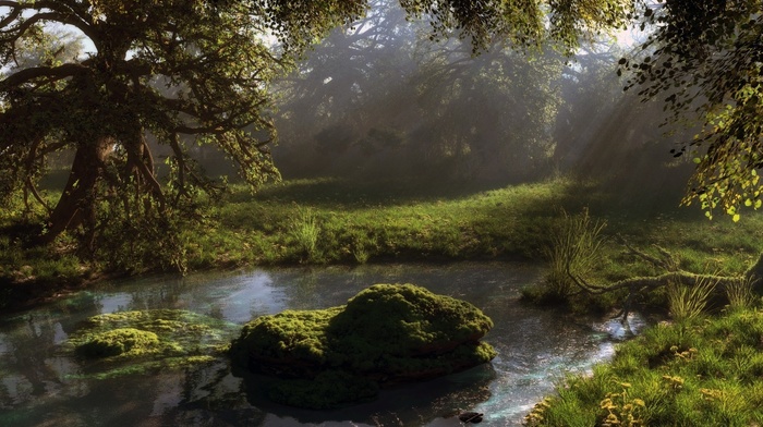 pond, 3D, water, forest, moss, nature, art, stones