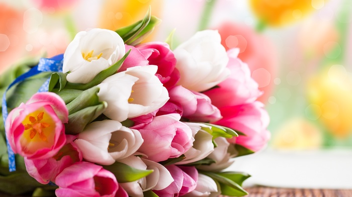 tulips, spring, bouquet, flowers
