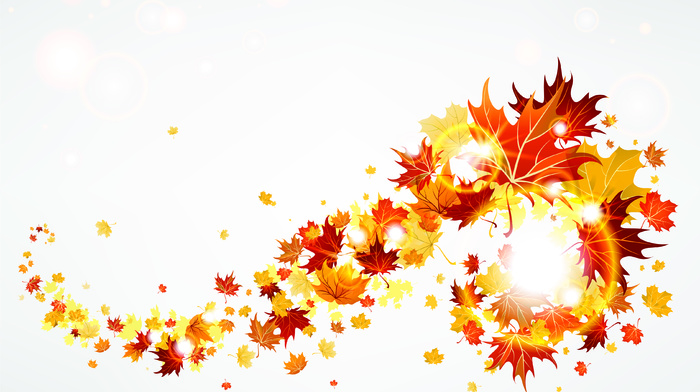 autumn, leaves, wind, 3D