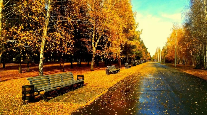 park, autumn, road, trees