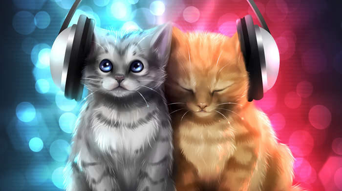 kittens, headphones, creative, gray