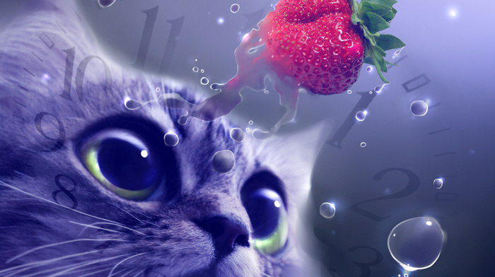 drops, cat, strawberry, creative, muzzle