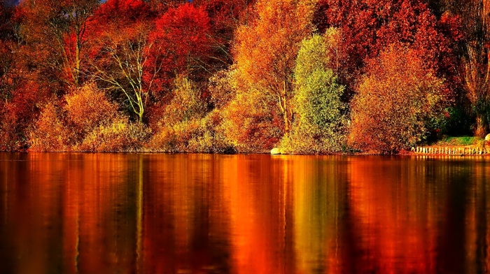 reflection, trees, autumn, river