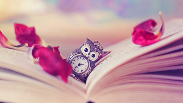 vintage, petals, clocks, owl, book, stunner