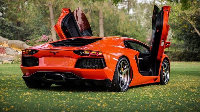 cars, lamborghini, trees, park