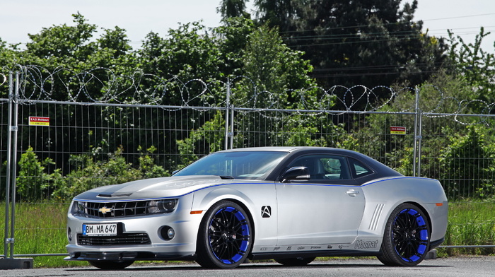 cars, fence, trees, wheels