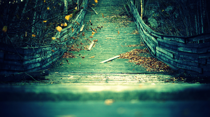 autumn, leaves, twigs, stunner, bridge