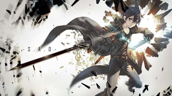 Kirigaya Kazuto, sword art online