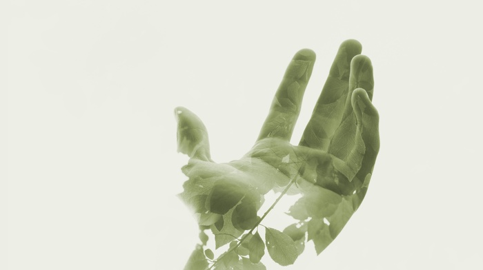 leaves, hand, Double Exposure