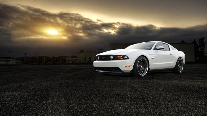 mustang, Ford, gt, cars, white