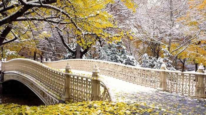 bridge, nature, snow