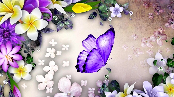 flowers, butterfly, stunner