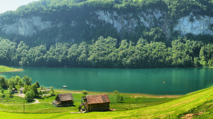 grass, mountain, river, nature, glade, Switzerland