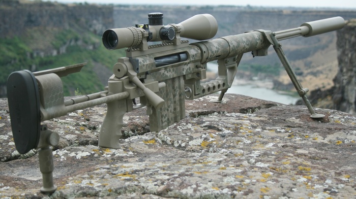 sniper rifle, gun