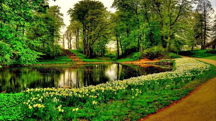 flowers, trees, stairs, nature, park, pond, grass