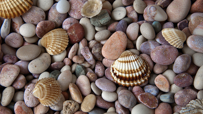 stunner, stones, macro