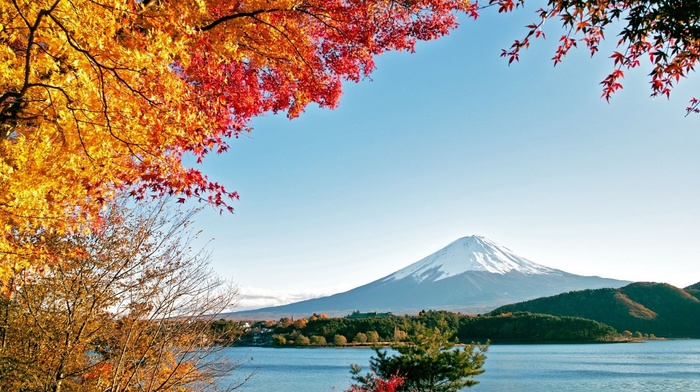 autumn, mountain, trees