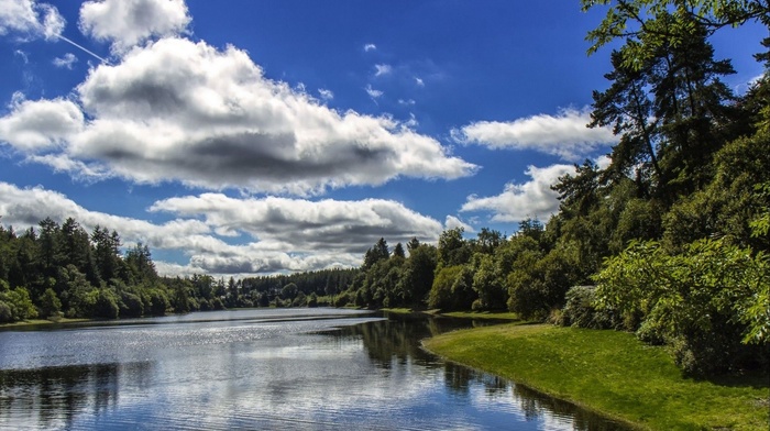 grass, clouds, forest, river, nature