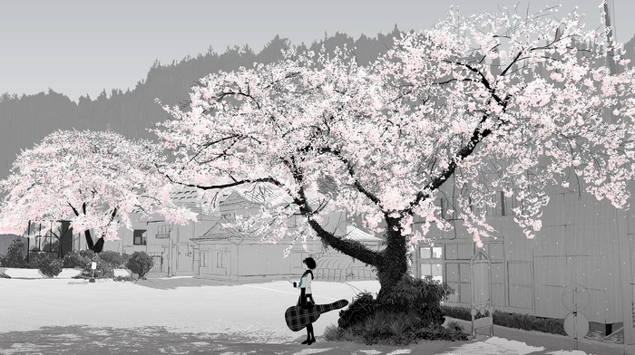 anime girls, cherry blossom
