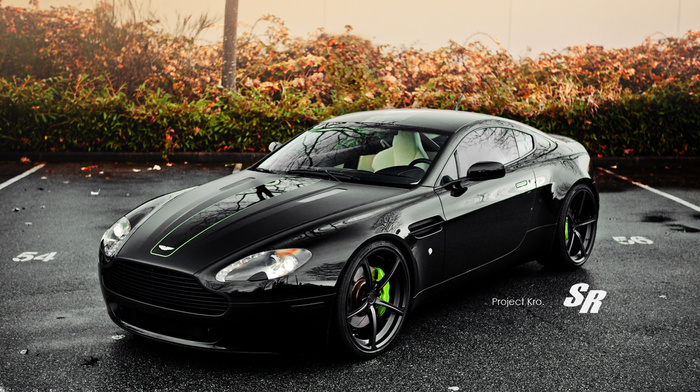 Aston Martin, black, light, headlights, autumn, cars, wheels