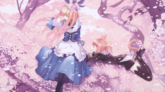 anime, Alice in Wonderland, trees, anime girls, dress, cherry blossom, cat ears