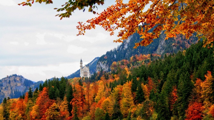 autumn, forest, mountain, Germany