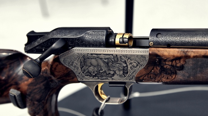 gun, macro